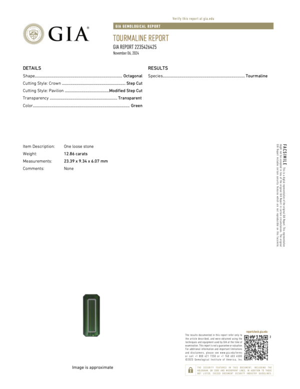 12.86Ct Tourmaline GIA