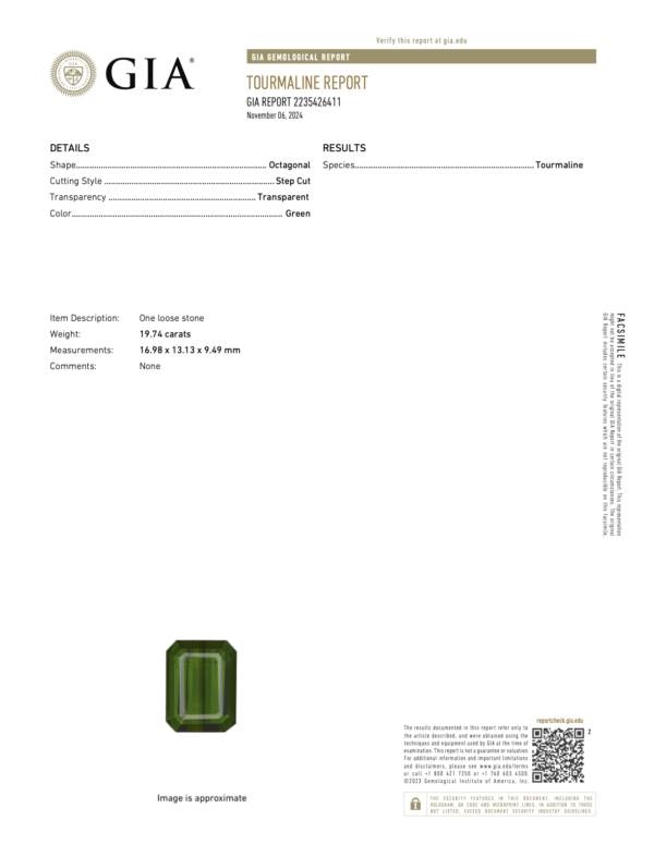 19.74Ct Tourmaline GIA