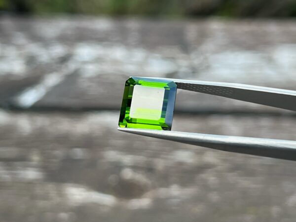 8.56 Carats Tourmaline (GIA Certified)