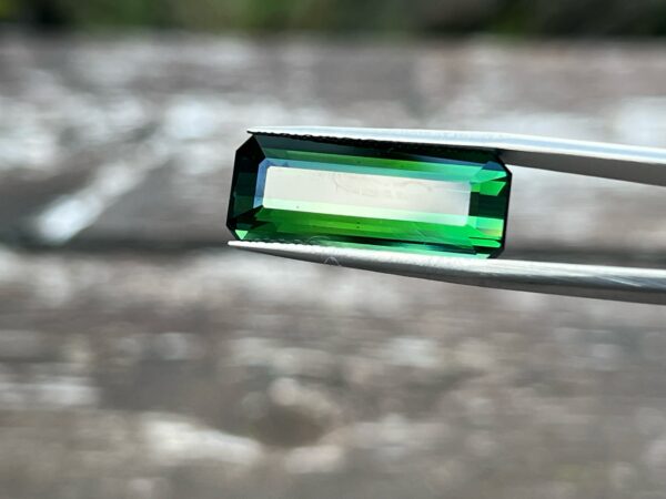 12.86 Carats Tourmaline (GIA Certified)