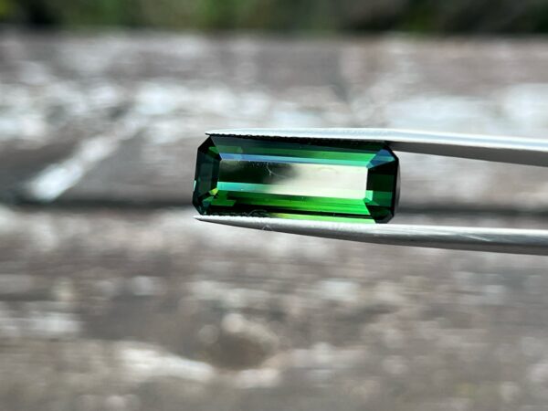 12.86 Carats Tourmaline (GIA Certified)