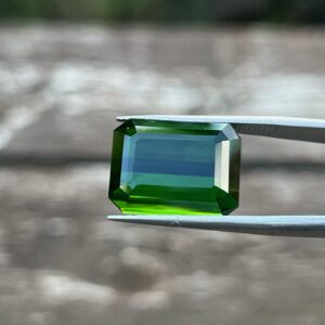 19.74 Carats Tourmaline (GIA Certified)