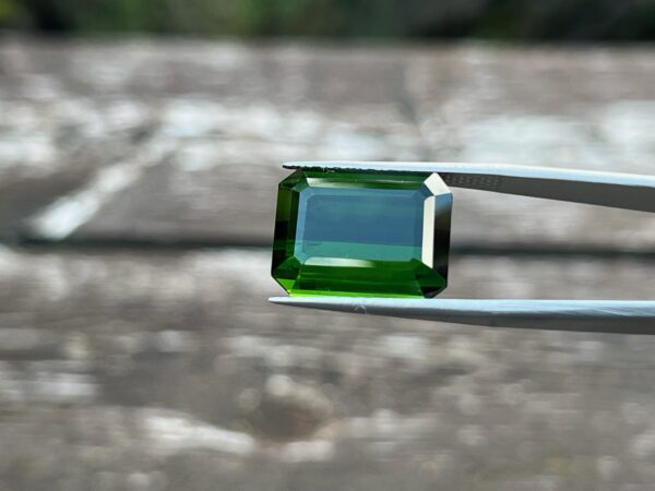 19.74 Carats Tourmaline (GIA Certified)
