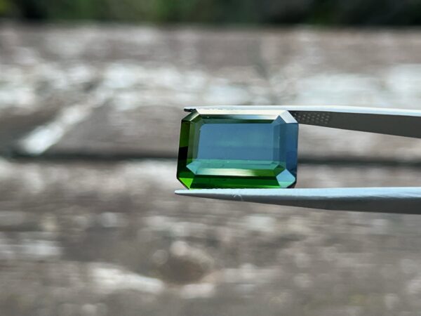 19.74 Carats Tourmaline (GIA Certified)