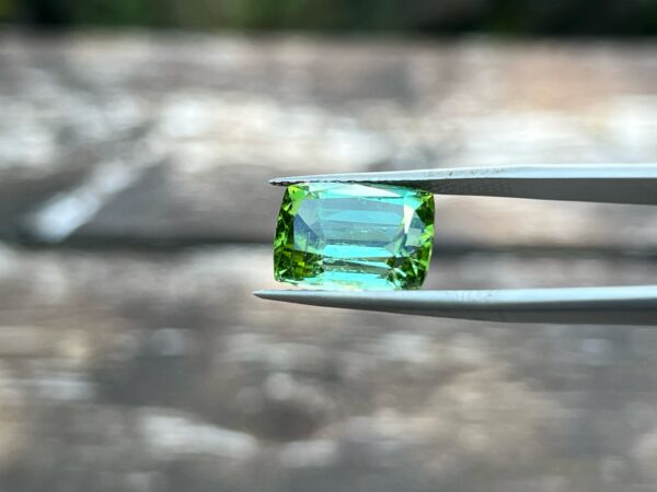 8.27 Carats Tourmaline (GIA Certified)