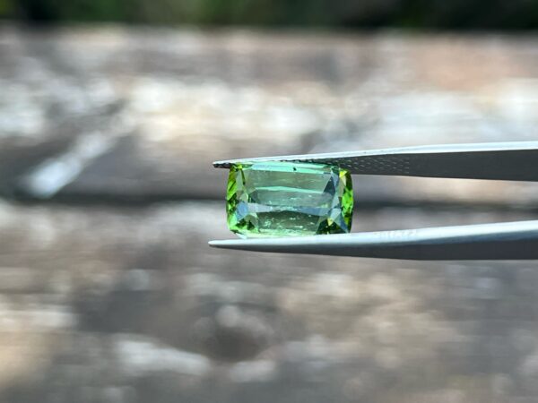 8.27 Carats Tourmaline (GIA Certified)
