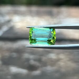 8.27 Carats Tourmaline (GIA Certified)