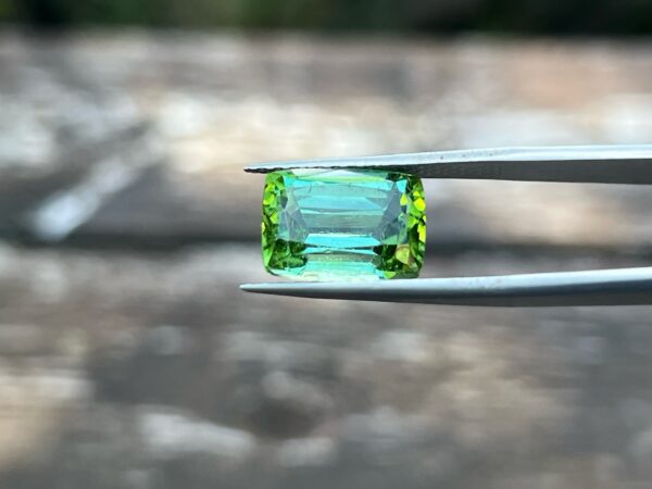 8.27 Carats Tourmaline (GIA Certified)