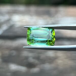 8.27 Carats Tourmaline (GIA Certified)