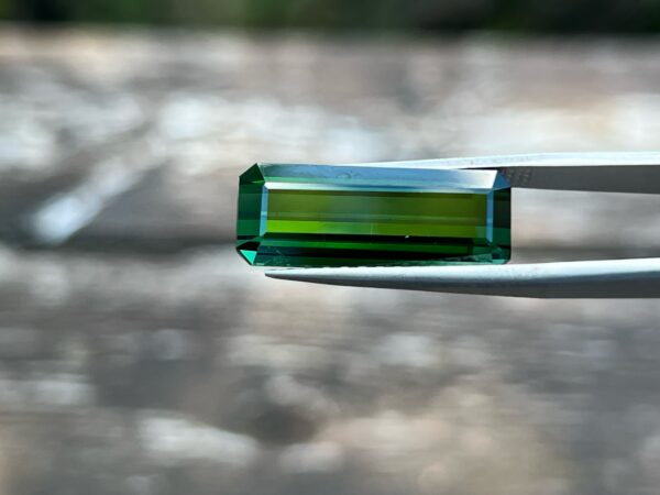 12.06 Carats Tourmaline (GIA Certified)