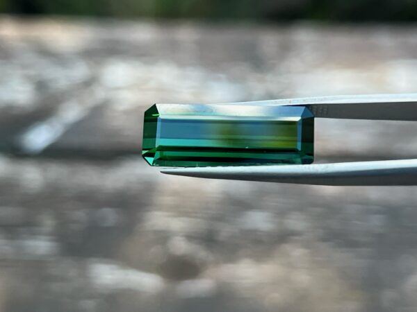 12.06 Carats Tourmaline (GIA Certified)