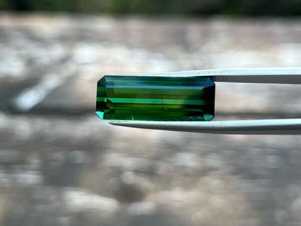 12.06 Carats Tourmaline (GIA Certified)
