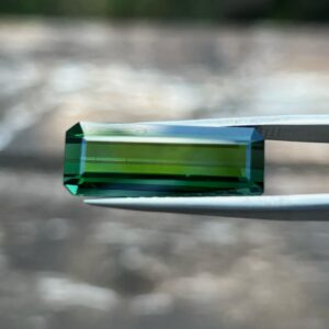 12.06 Carats Tourmaline (GIA Certified)