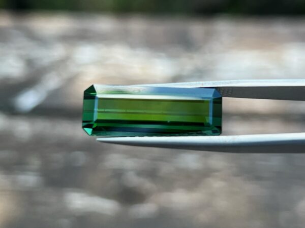 12.06 Carats Tourmaline (GIA Certified)