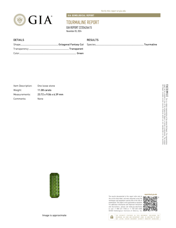 11.08 Carats Tourmaline (GIA Certified) - Image 5