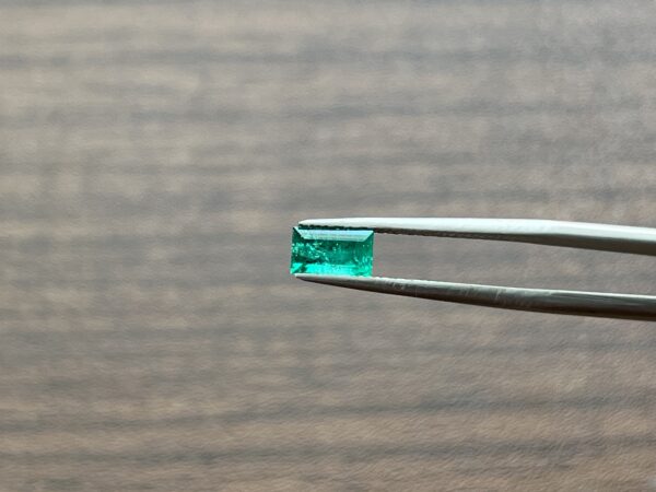 0.73 Carats Emerald (GIA Certified)