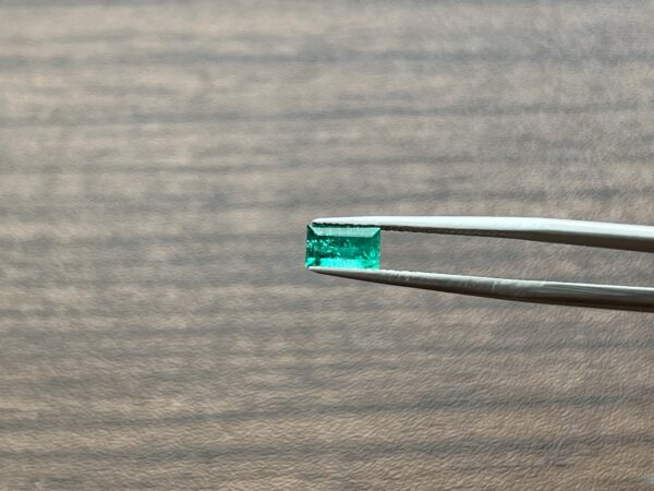 0.73 Carats Emerald (GIA Certified)