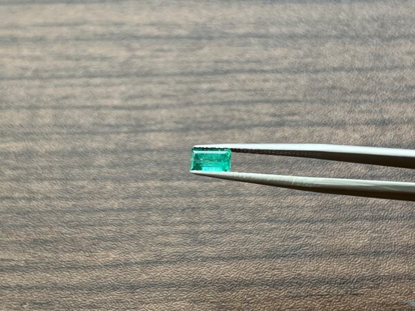 0.73 Carats Emerald (GIA Certified)
