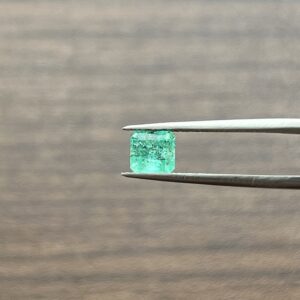 1.02 Carats Emerald (GIA Certified)