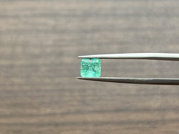 1.02 Carats Emerald (GIA Certified)