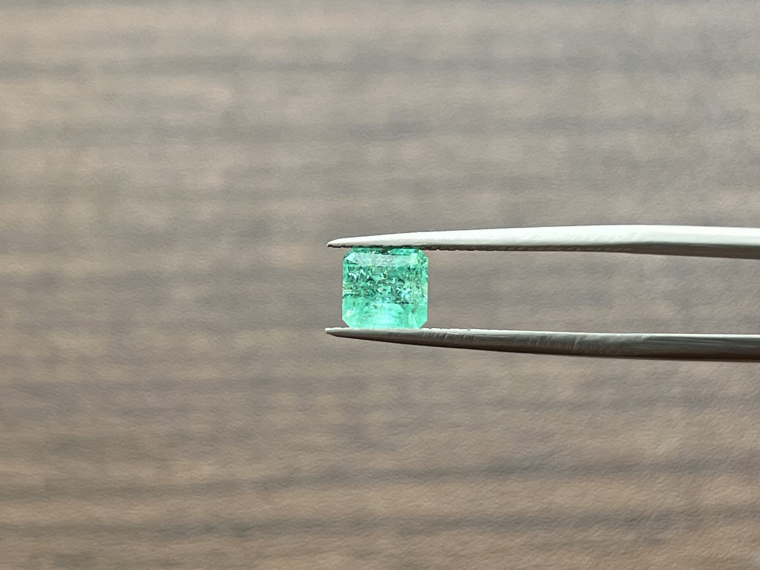 1.02 Carats Emerald (GIA Certified)