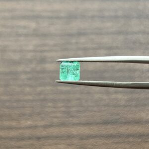 1.02 Carats Emerald (GIA Certified)