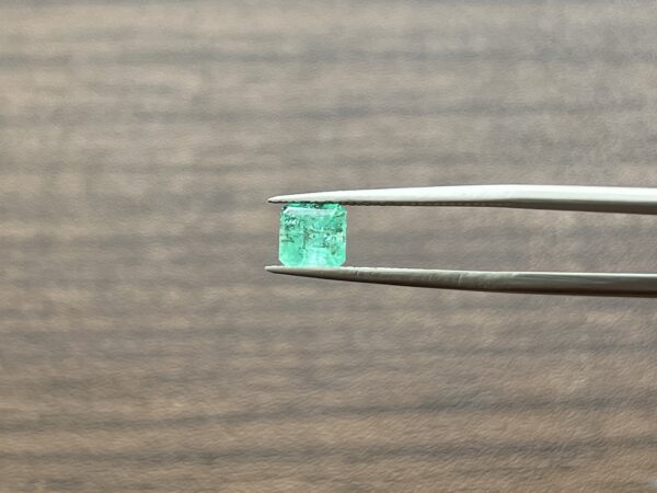 1.02 Carats Emerald (GIA Certified)