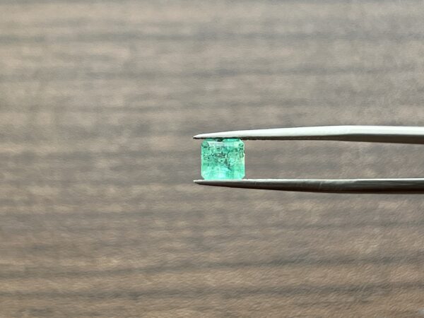 1.02 Carats Emerald (GIA Certified)