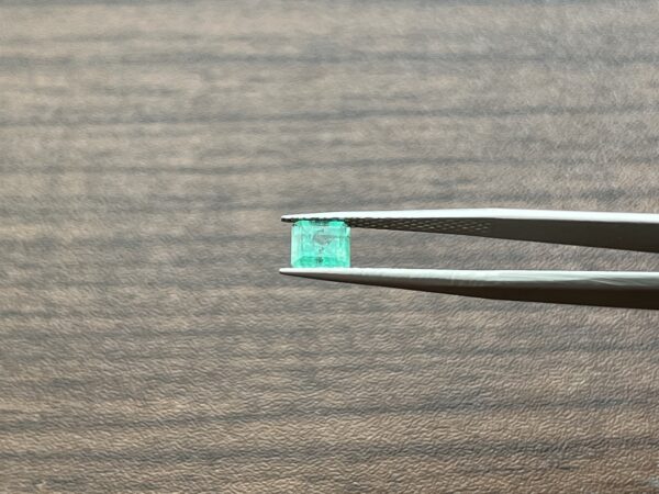 1.02 Carats Emerald (GIA Certified)